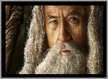 Ian Murray McKellen, Aktor, Gandalf